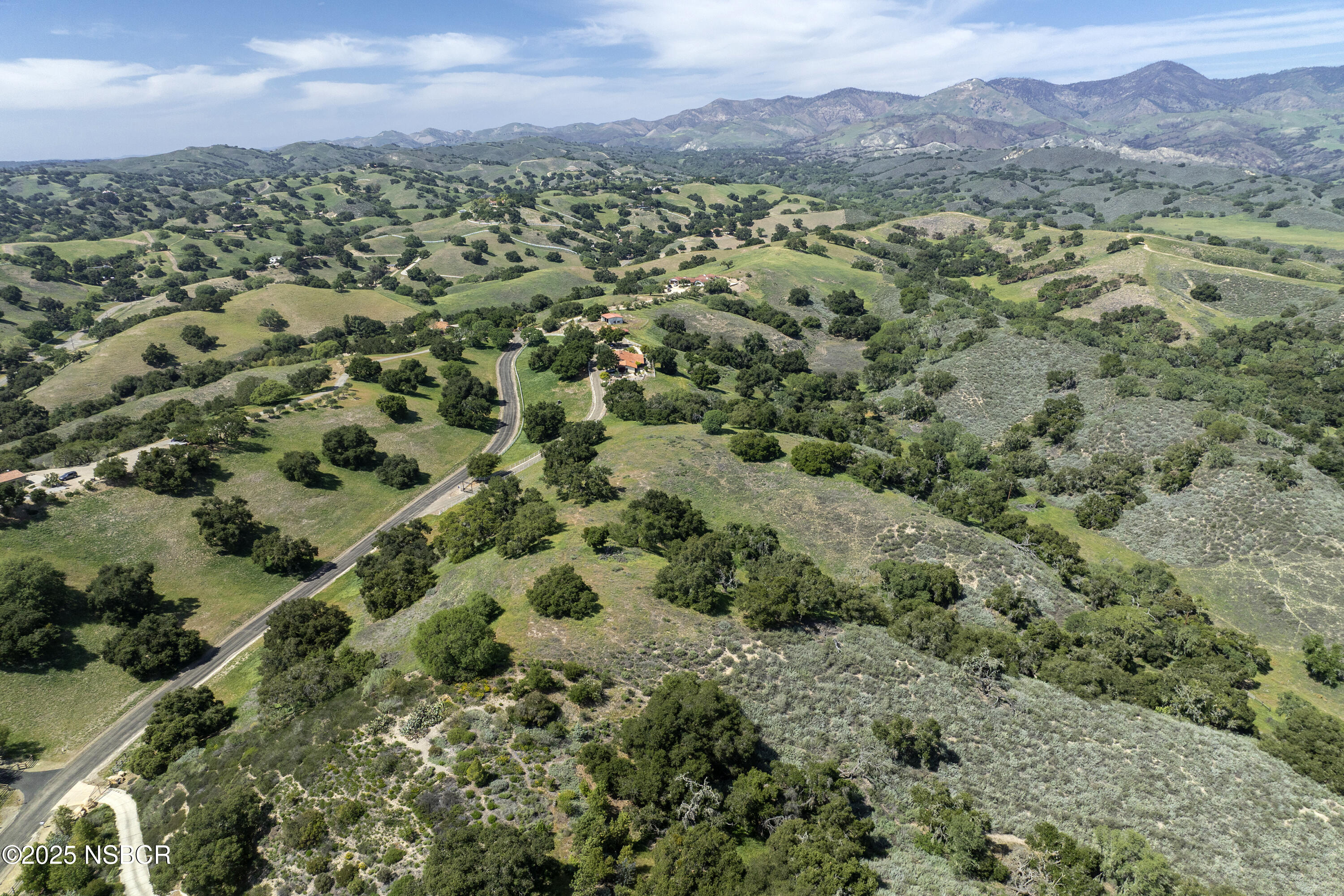 3776 Live Oak Road Santa Ynez, CA 93460 - Photo 40 of 46 a view of a forest with a street