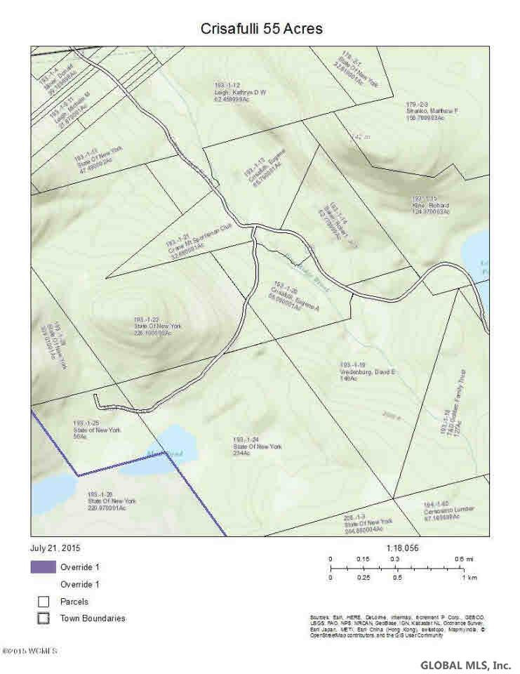 Garnet Lake Road Johnsburg, NY 12843 - Photo 2 of 2 Photo 2