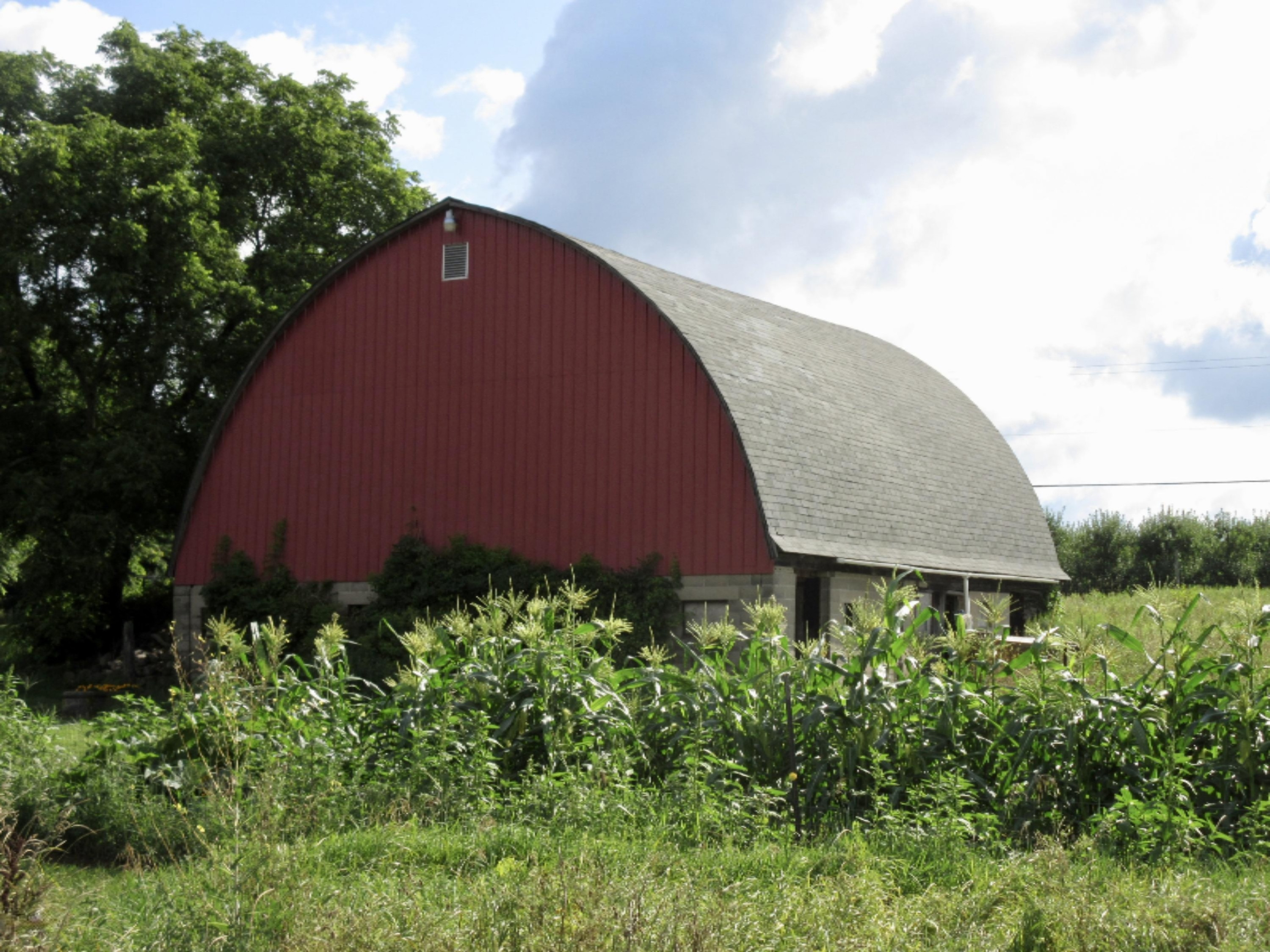 7652 Lincoln Lake Road Northeast Belding, MI 48809 - Photo 22 of 24 fullsizeoutput_206c
