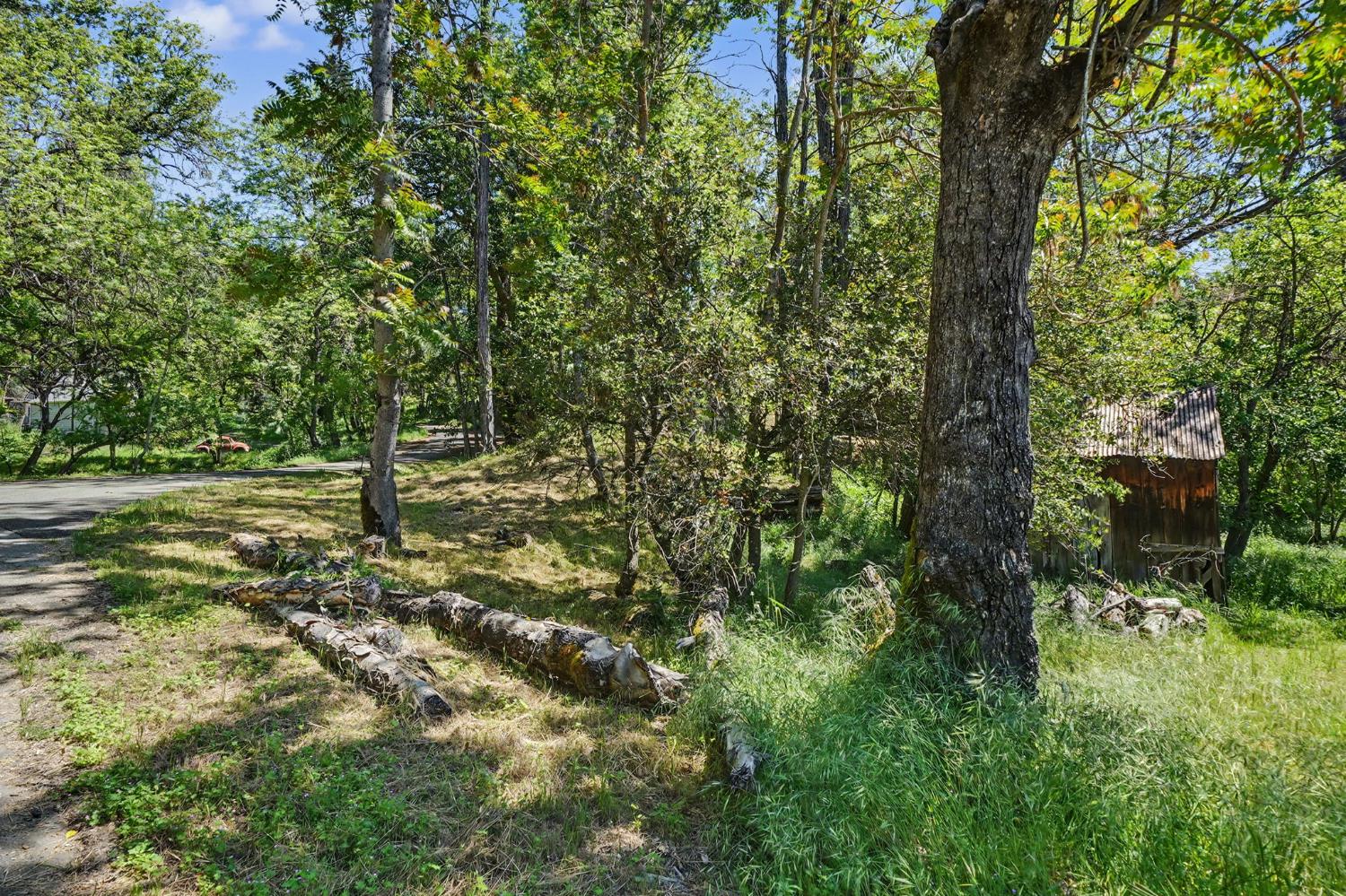16308 Emigrant Trail Volcano, CA 95689 - Photo 29 of 29 a view of a trees with a yard