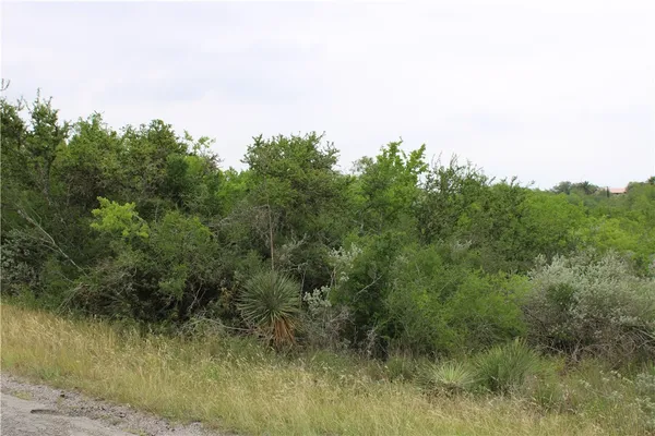$7,500 | 0 Cenesia Drive, Sandia, TX 78383