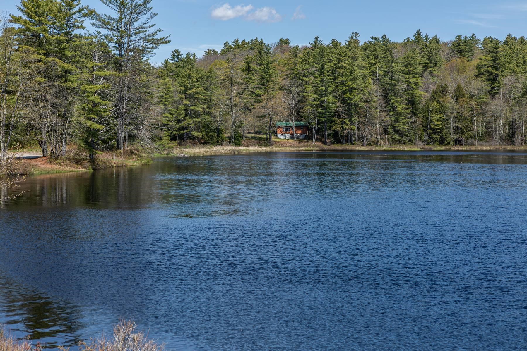 26 Stone Pond Road Marlow, NH 03456 - Photo 27 of 28