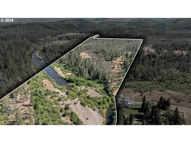 a view of a tree in a yard