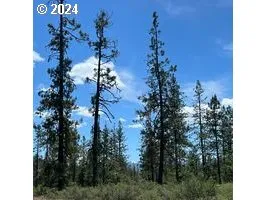 $989,000 | 168 Krauss Lane, Cave Junction, OR 97523