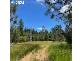 $989,000 | 168 Krauss Lane, Cave Junction, OR 97523