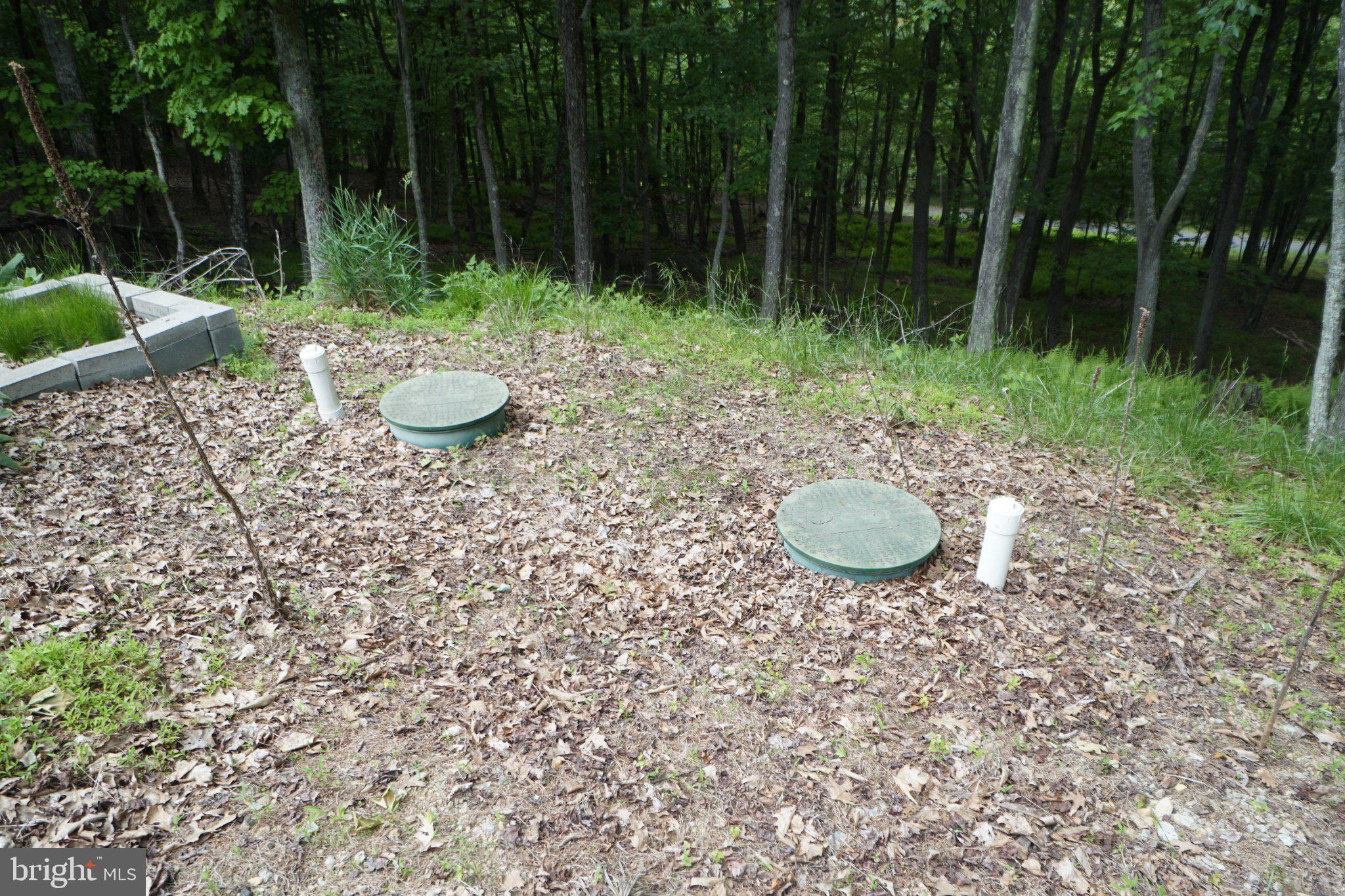 150 Sharp Ridge Lane Franklin, WV 26807 - Photo 11 of 69 Natural setting with utility access points.