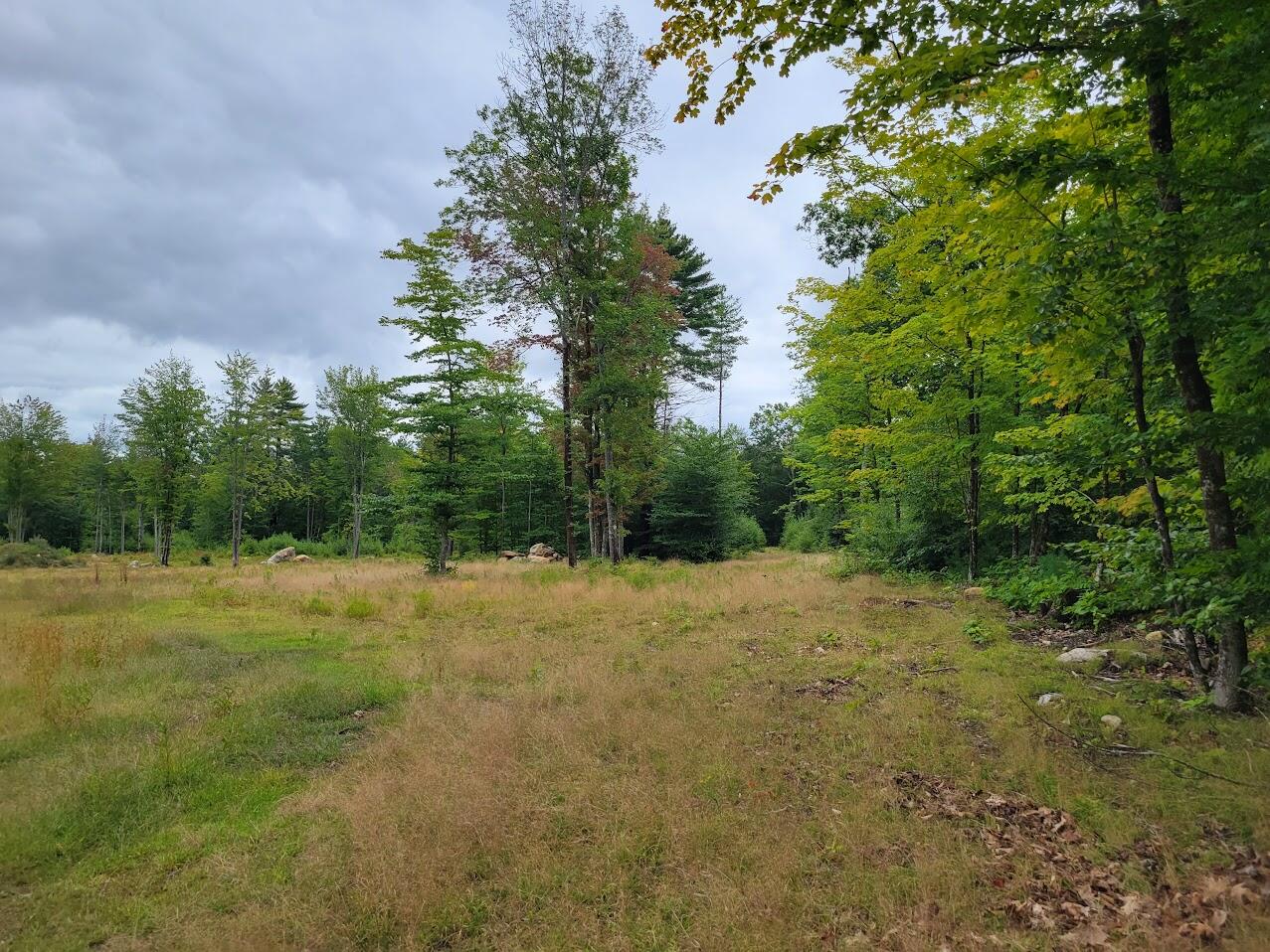 0 Heath Road Lebanon, ME 04027 - Photo 10 of 19 20220907_113433