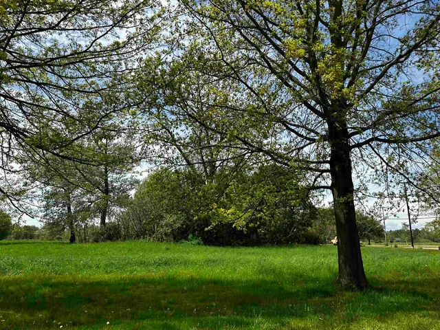 $150,000 | 2 Wilmar Street, Unit 8, Middlebury, VT 05753