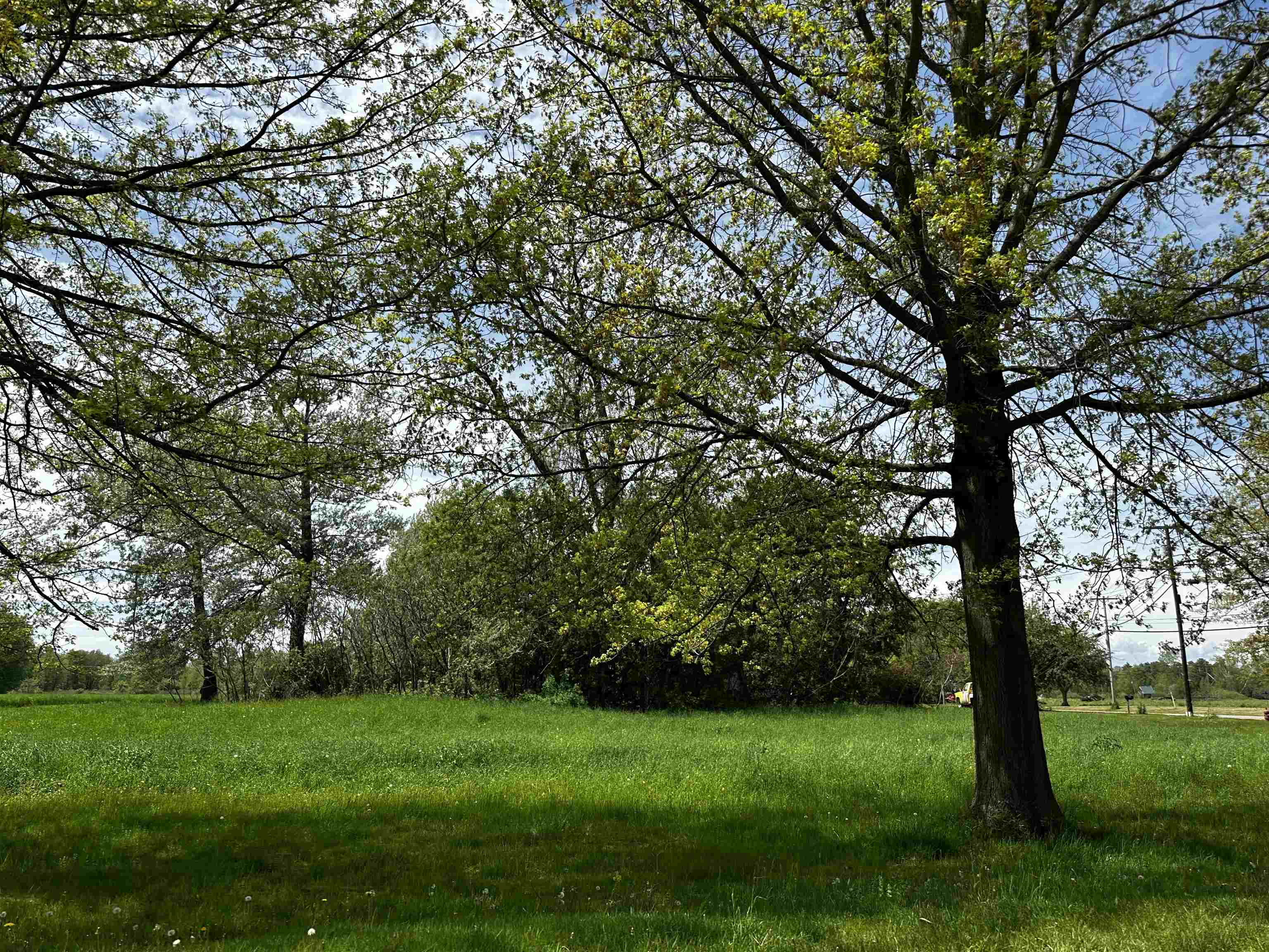 2 Wilmar Street, Unit 8 Middlebury, VT 05753 - Photo 4 of 4