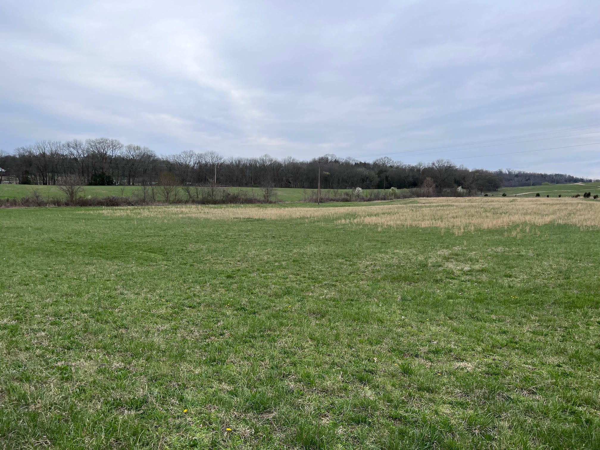 655 Chipman Road Bethpage, TN 37022 - Photo 13 of 24 Gallery Image 13