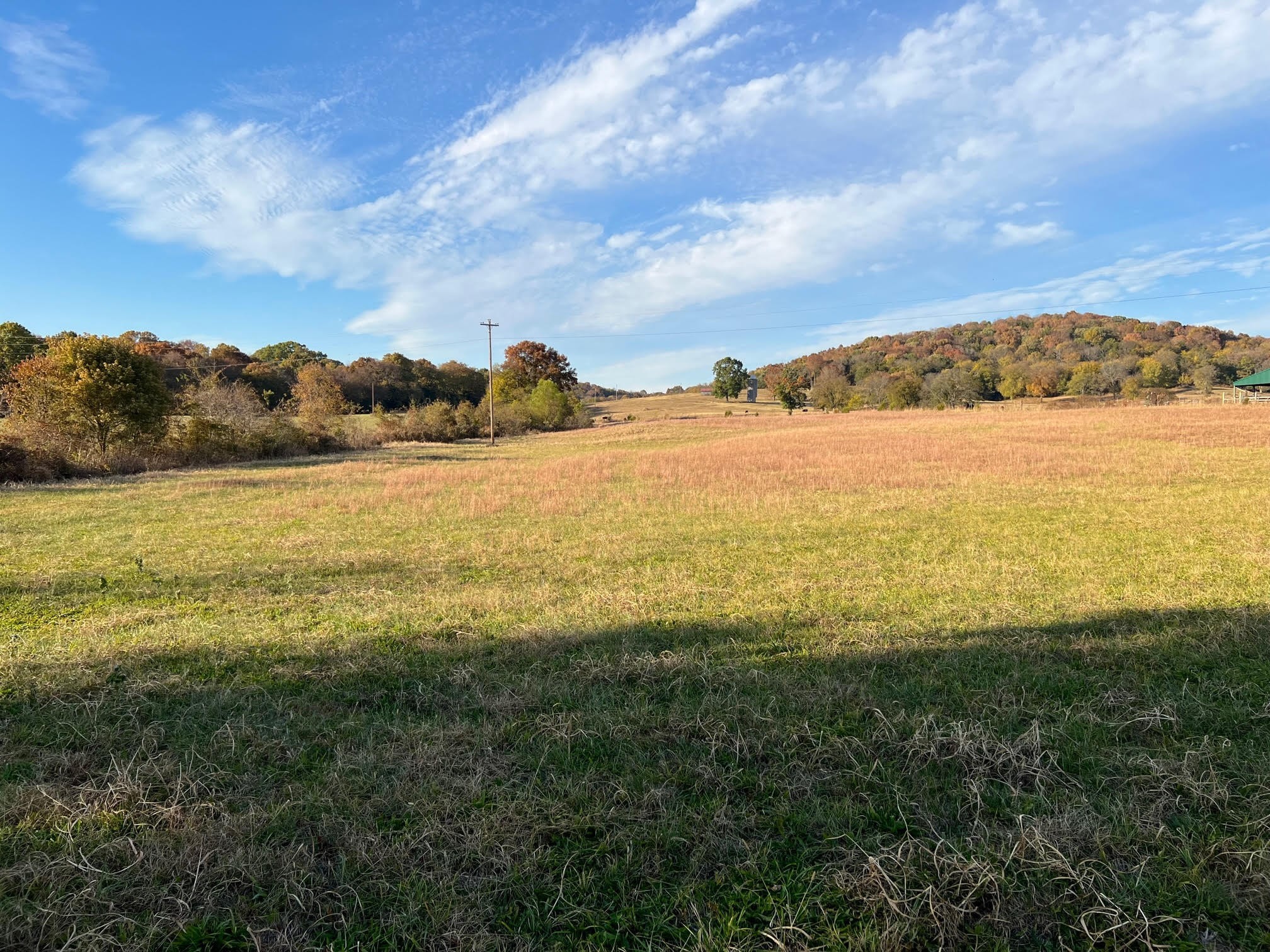 655 Chipman Road Bethpage, TN 37022 - Photo 3 of 24 Gallery Image 3