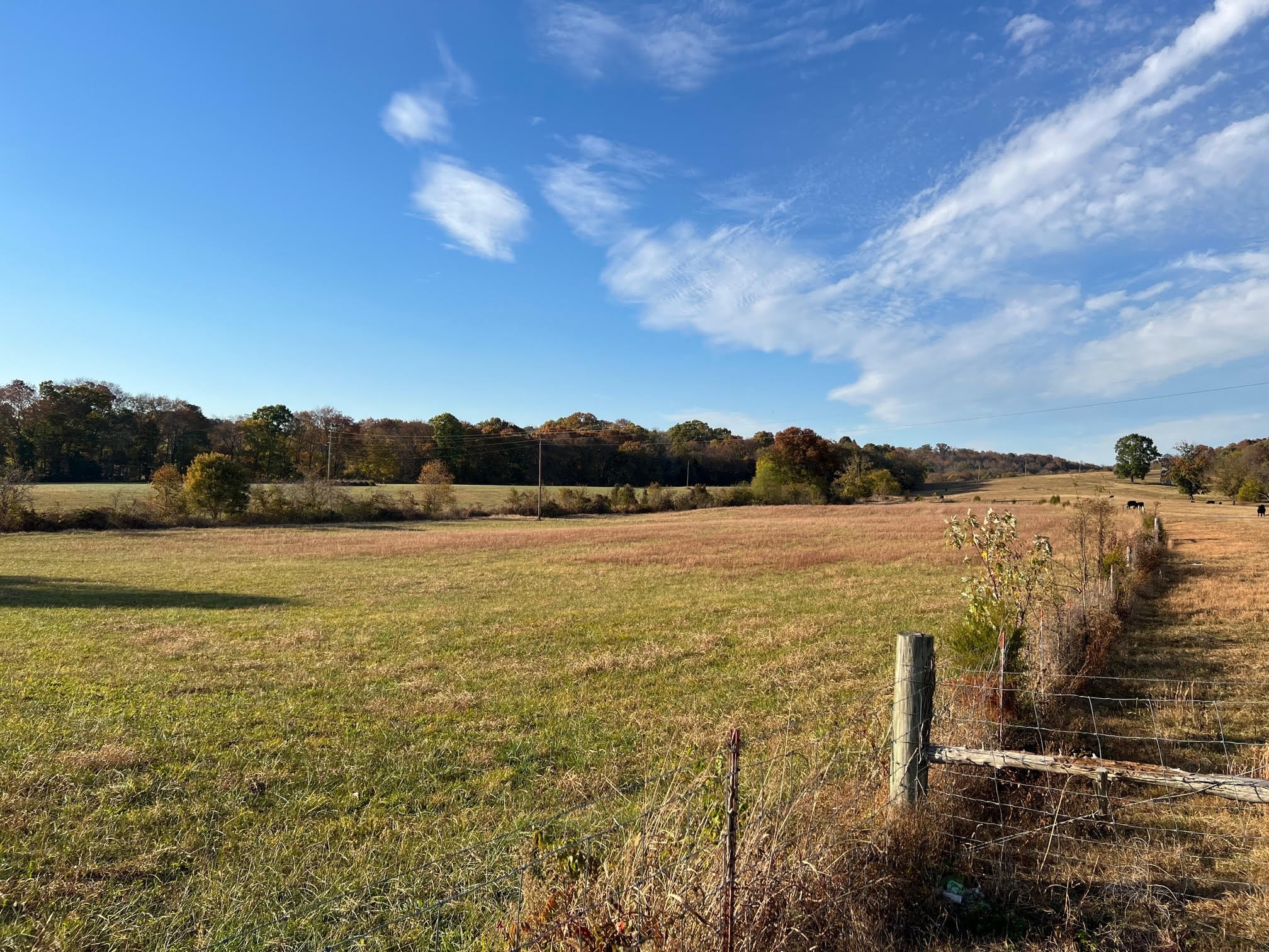 655 Chipman Road Bethpage, TN 37022 - Photo 5 of 24 Gallery Image 5