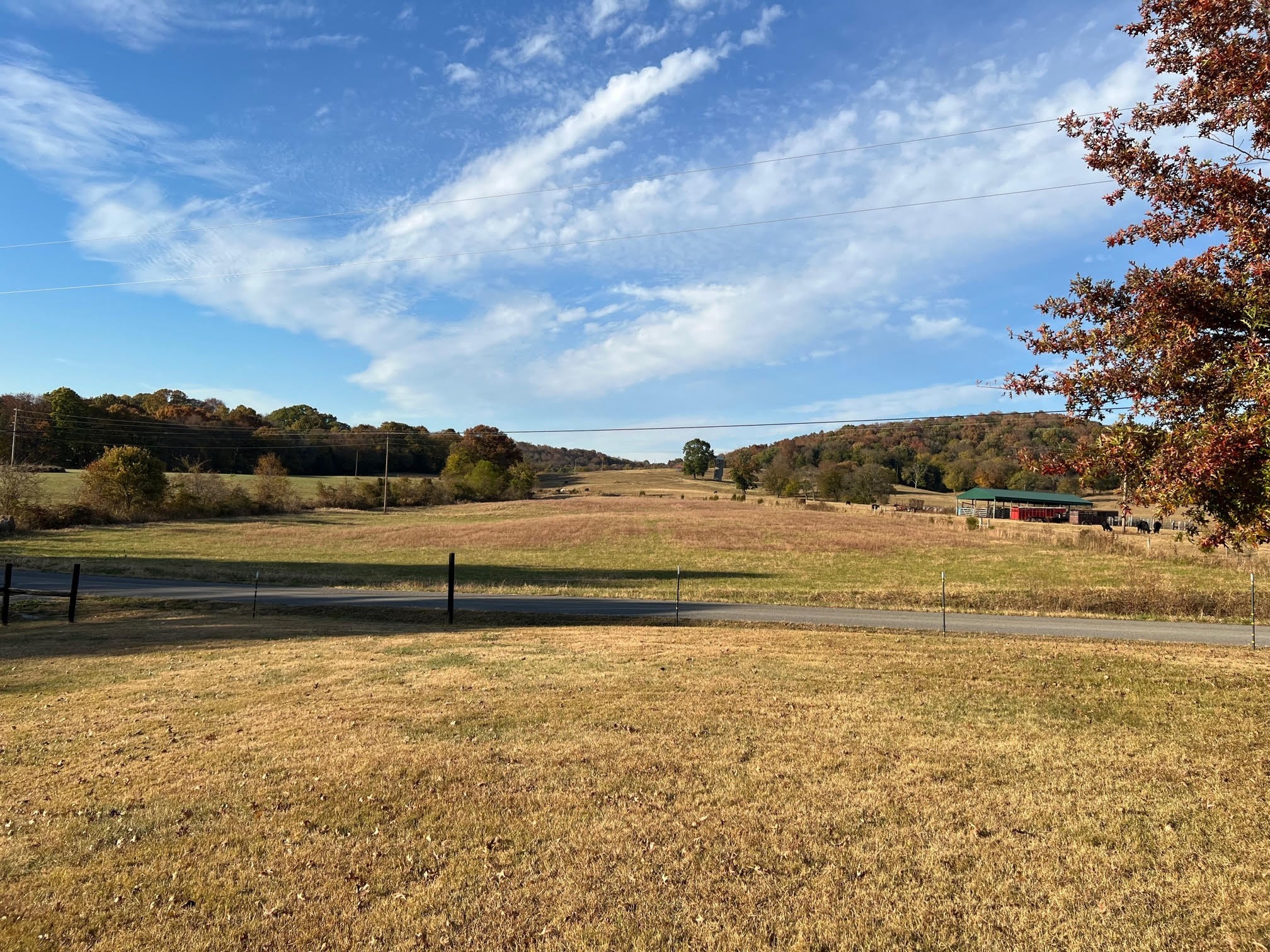 655 Chipman Road Bethpage, TN 37022 - Photo 6 of 24 Gallery Image 6