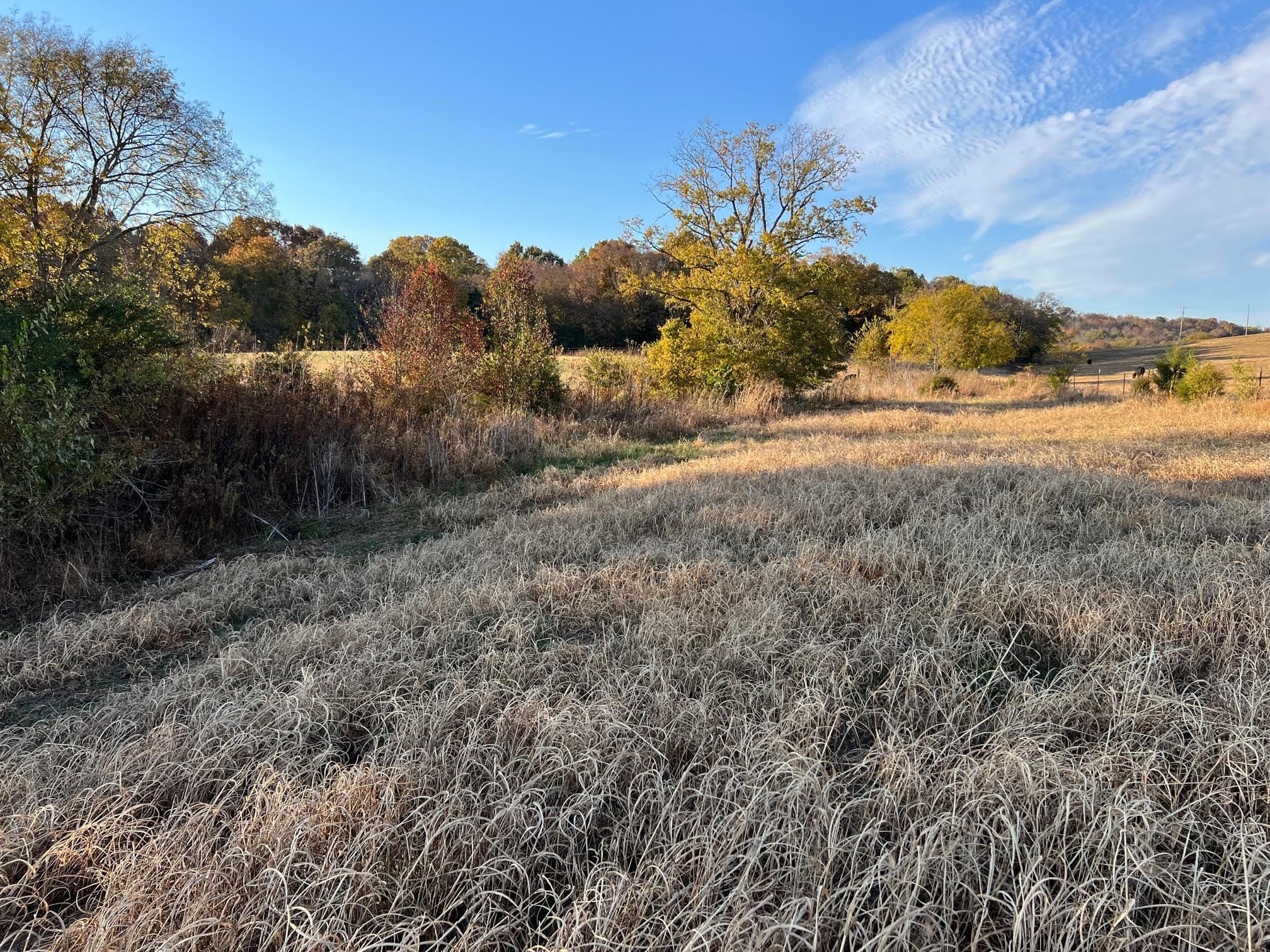 655 Chipman Road Bethpage, TN 37022 - Photo 7 of 24 Gallery Image 7