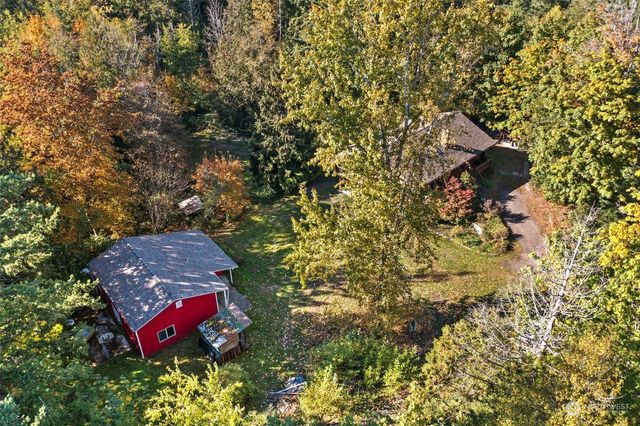 a view of a big yard with plants and large trees