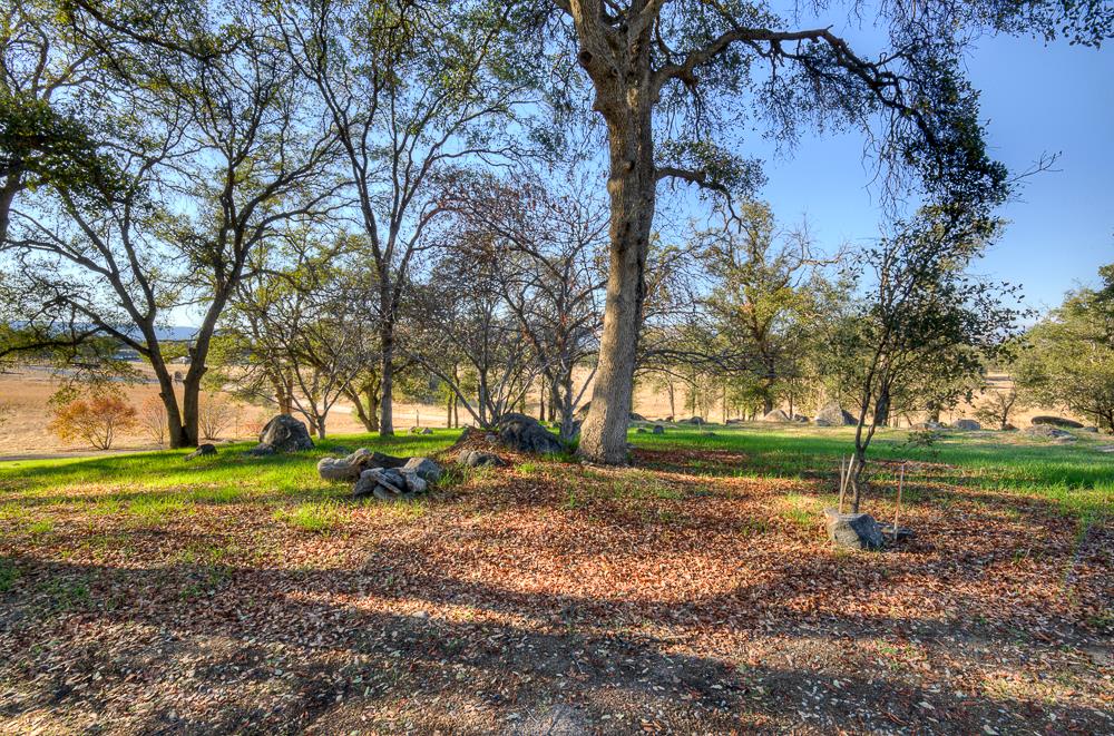 27266 Twin Ponds Road Clovis, CA 93619 - Photo 5 of 45 a view of a park with tree s