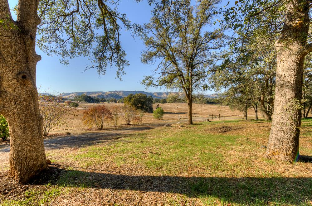 27266 Twin Ponds Road Clovis, CA 93619 - Photo 8 of 45 a view of a yard with an ocean view