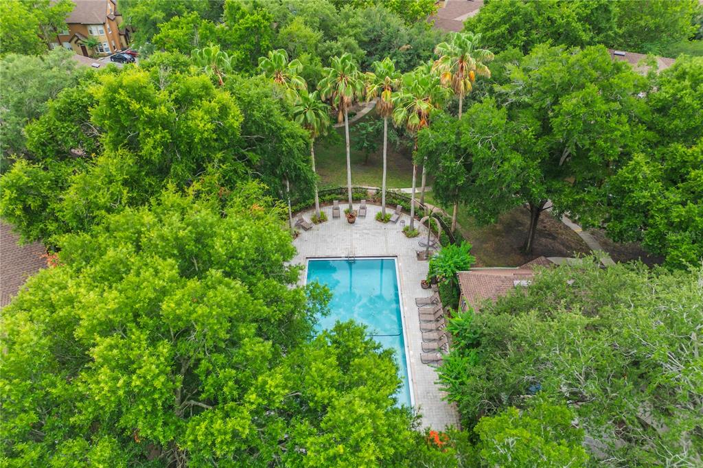 6324 Raleigh Street, Unit 702 Orlando, FL 32835 - Photo 48 of 52