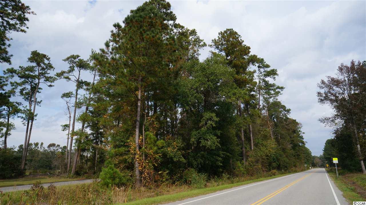 450 North Boggy Road Conway, SC 29526 - Photo 1 of 3 Gallery Image 1