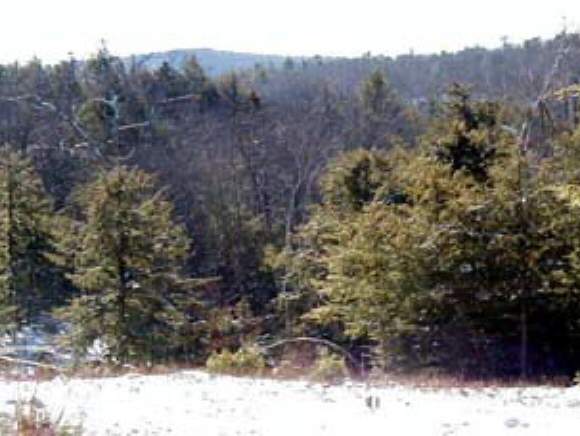 5 Stoney Brook Road Newbury, NH 03255 - Photo 1 of 4