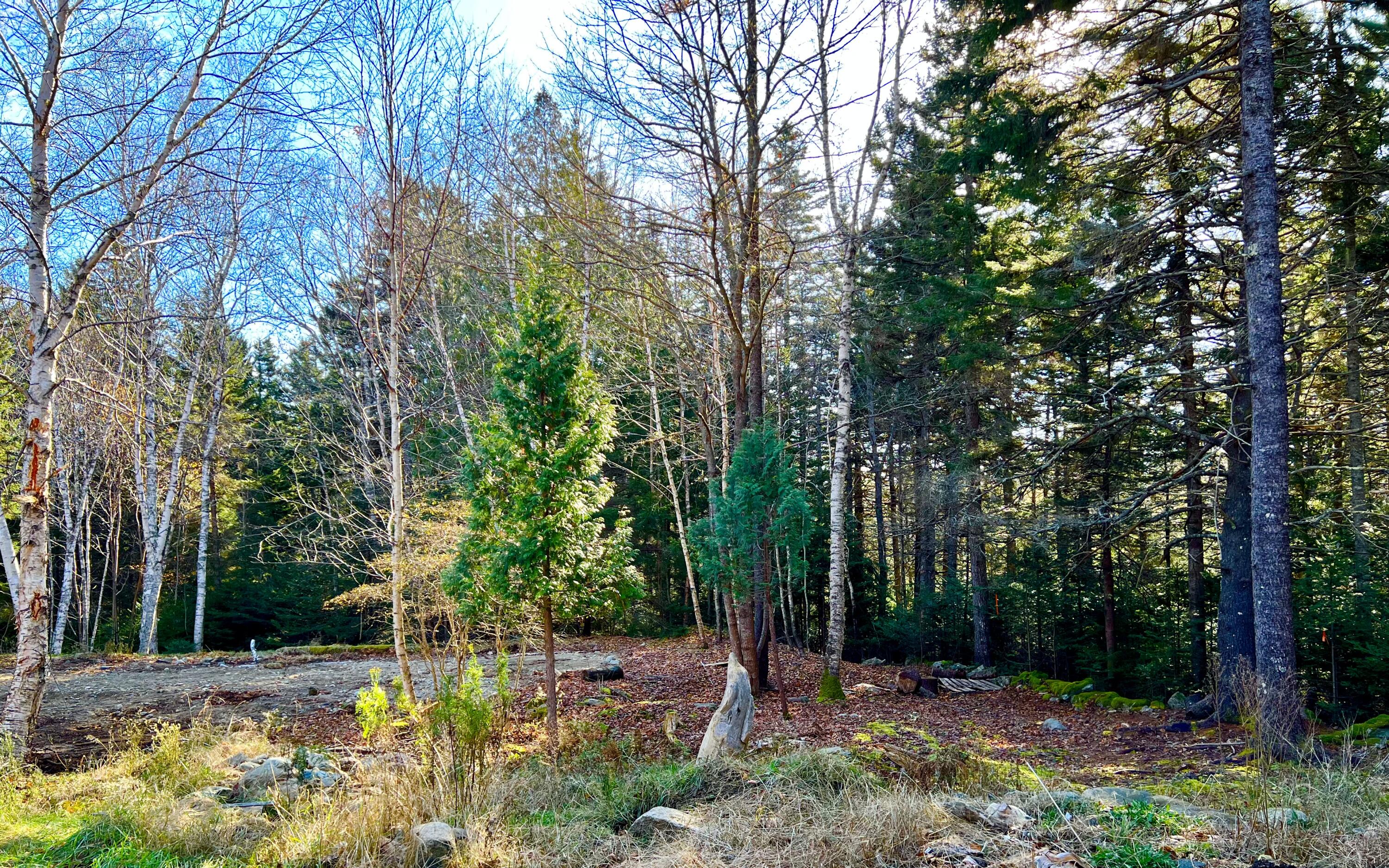 56 Dodge Point Road Tremont, ME 04612 - Photo 16 of 26 Land