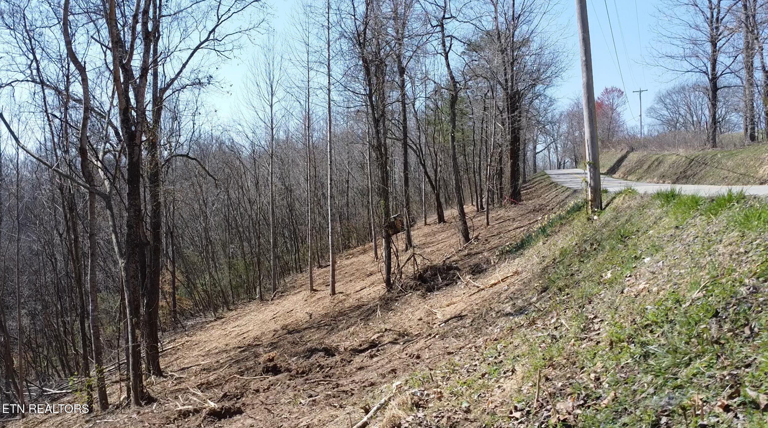 4160 Demory Road La Follette, TN 37766 - Photo 27 of 34 Demory Turkey Cove