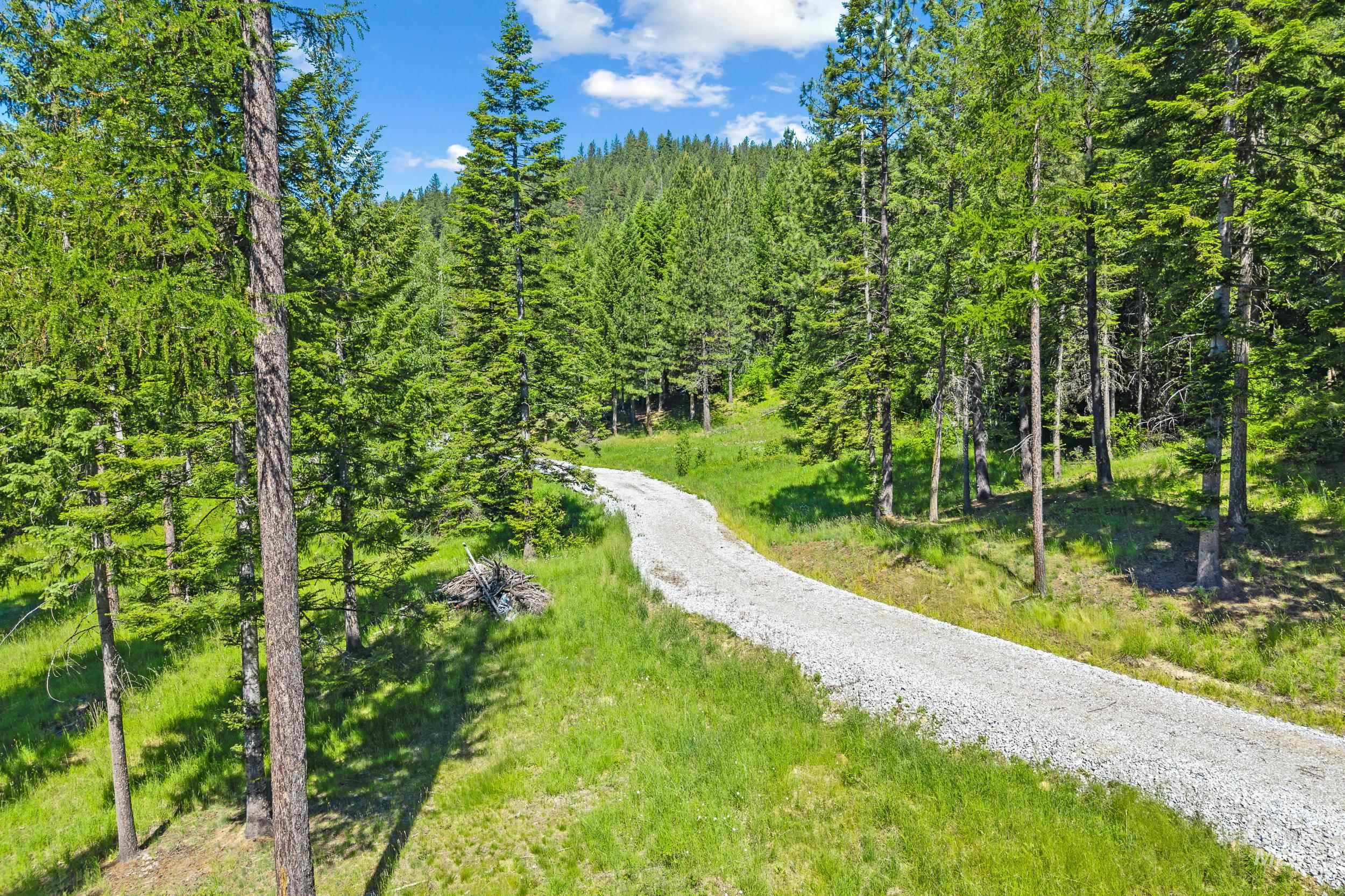 Abc Abc Gold Cup Road Priest River, ID 83856 - Photo 10 of 24