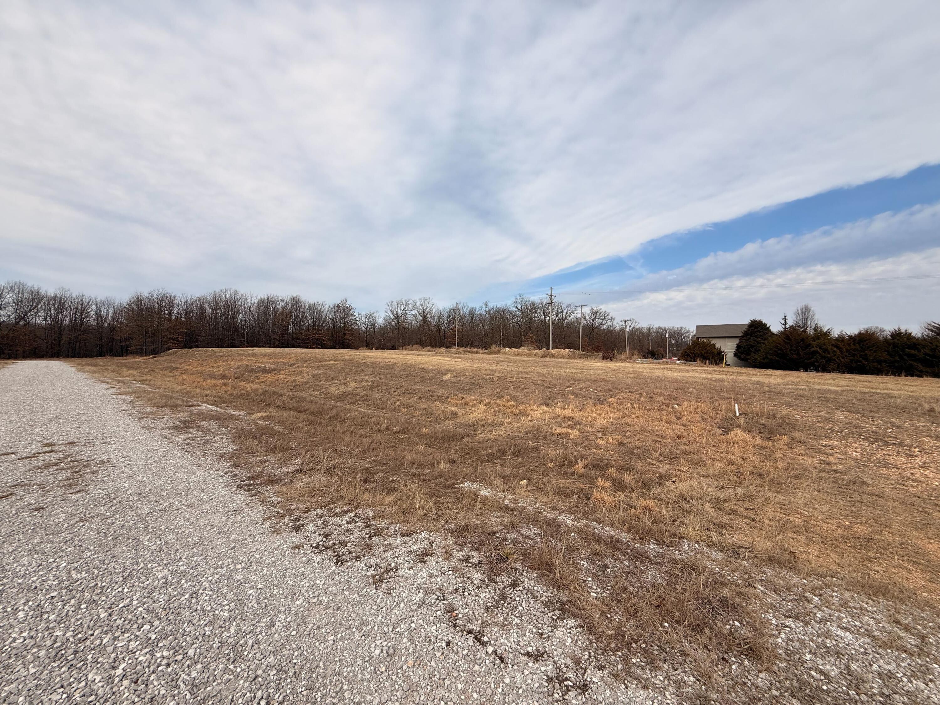 0 Raintree Circle Joplin, MO 64804 - Photo 9 of 26 IMG_8676