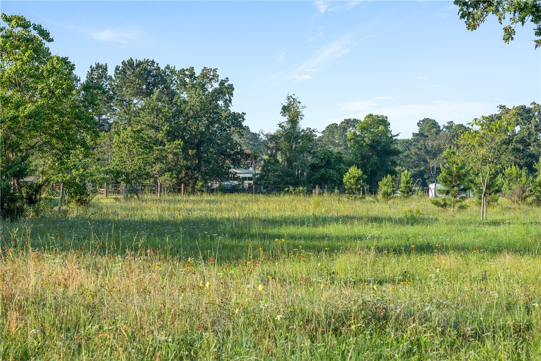 26795 Rice Road Hockley, TX 77447 - Photo 9 of 19 a view of a lake view with a garden
