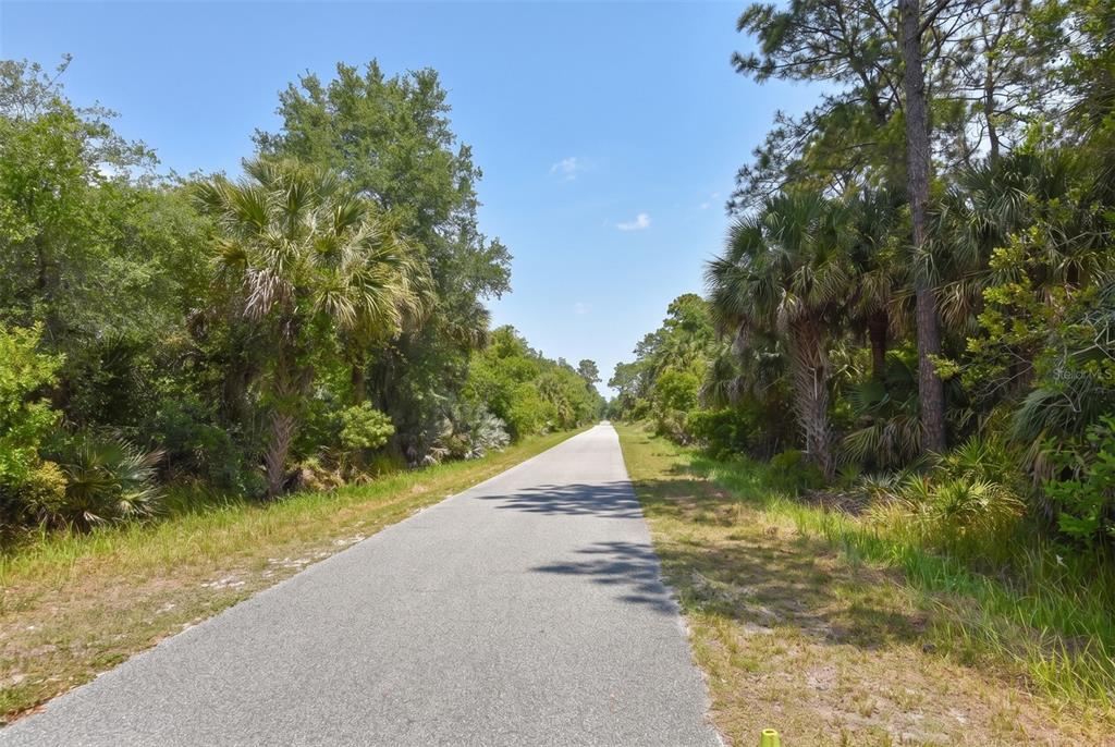 1851 Maytown Road Oak Hill, FL 32759 - Photo 47 of 56