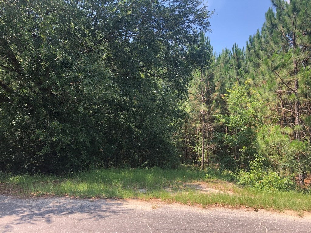 141 Bull Creek Road Moultrie, GA 31788 - Photo 4 of 6 Gallery Image 4