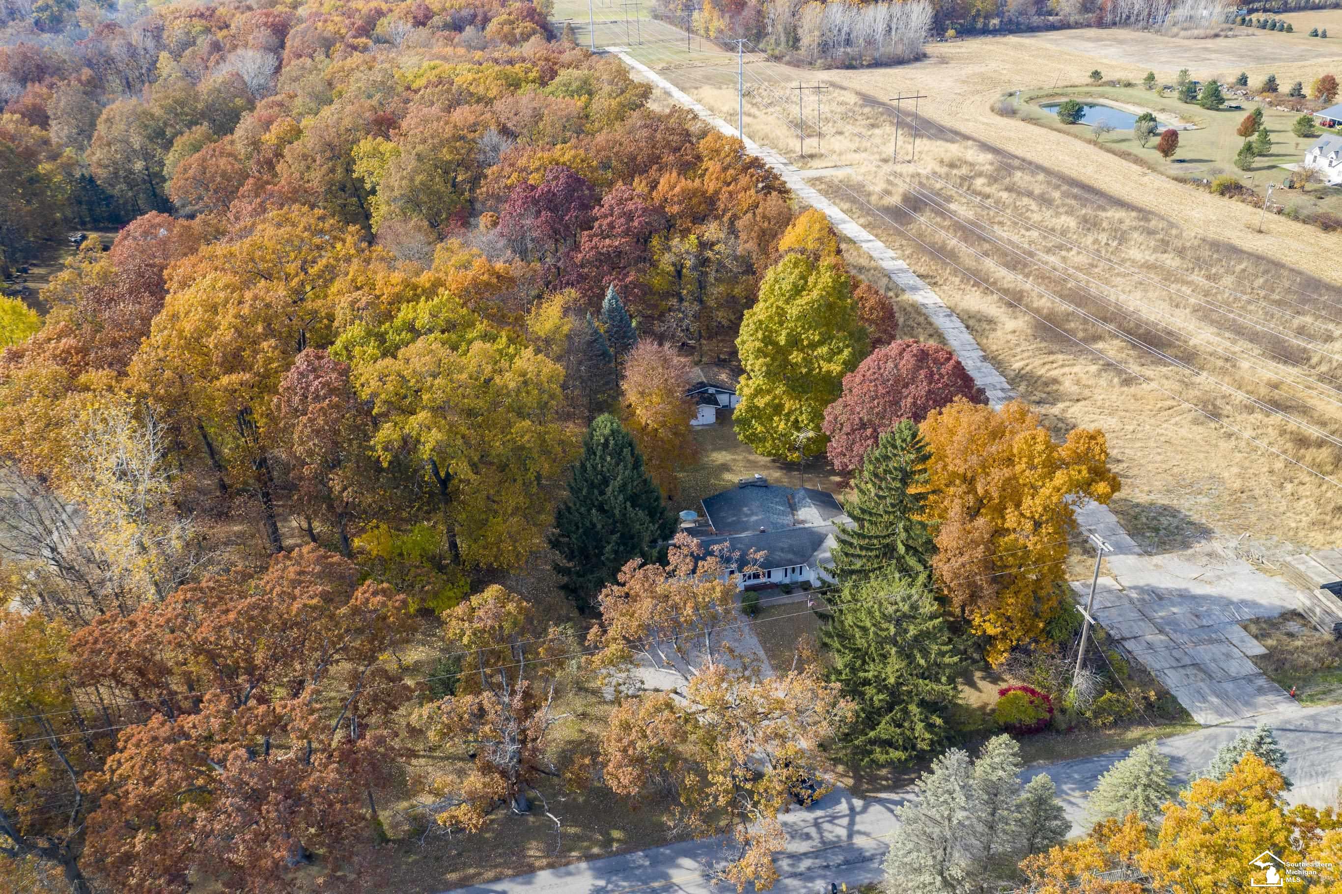 10131 Crabb Road Temperance, MI 48182 - Photo 35 of 36