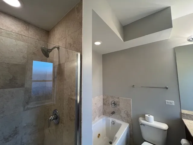 a bathroom with a toilet and a bathtub