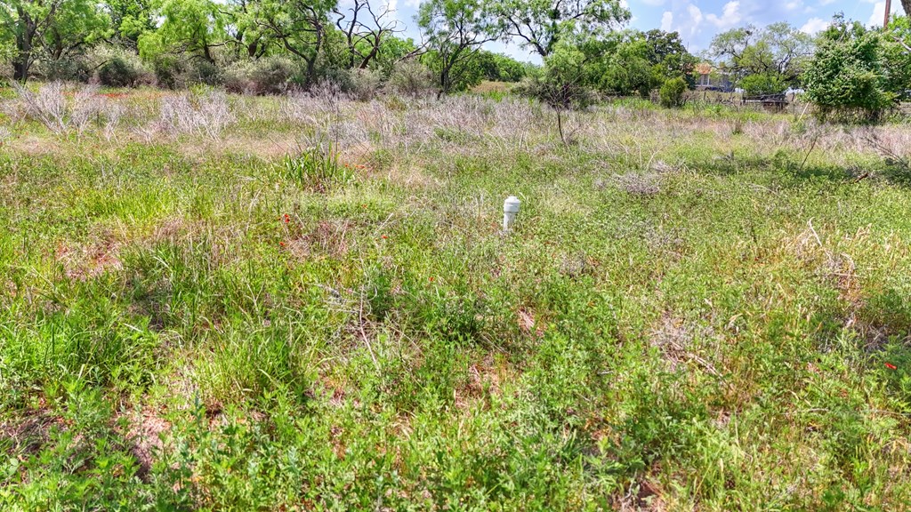 0 West W Highway Valley Spring, TX 76885 - Photo 13 of 27 a view of a lake with top of green space