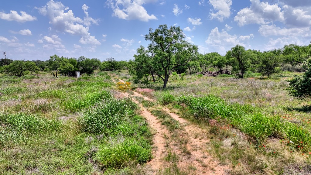 0 West W Highway Valley Spring, TX 76885 - Photo 22 of 27 a view of a big yard with lots of green space and mountain view
