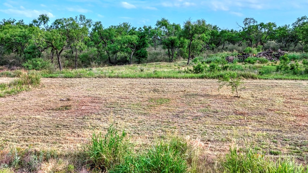 0 West W Highway Valley Spring, TX 76885 - Photo 26 of 27 a view of a yard with a tree