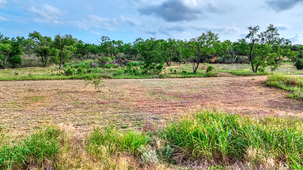 0 West W Highway Valley Spring, TX 76885 - Photo 27 of 27 a view of a road with a yard