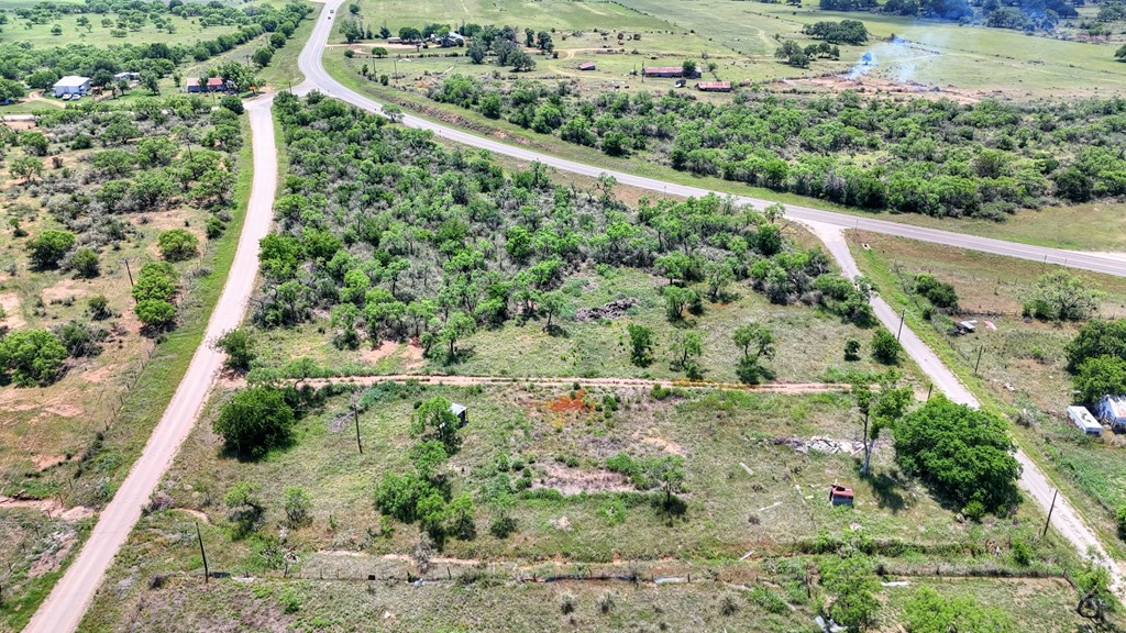 0 West W Highway Valley Spring, TX 76885 - Photo 4 of 27 a view of a garden with a tree