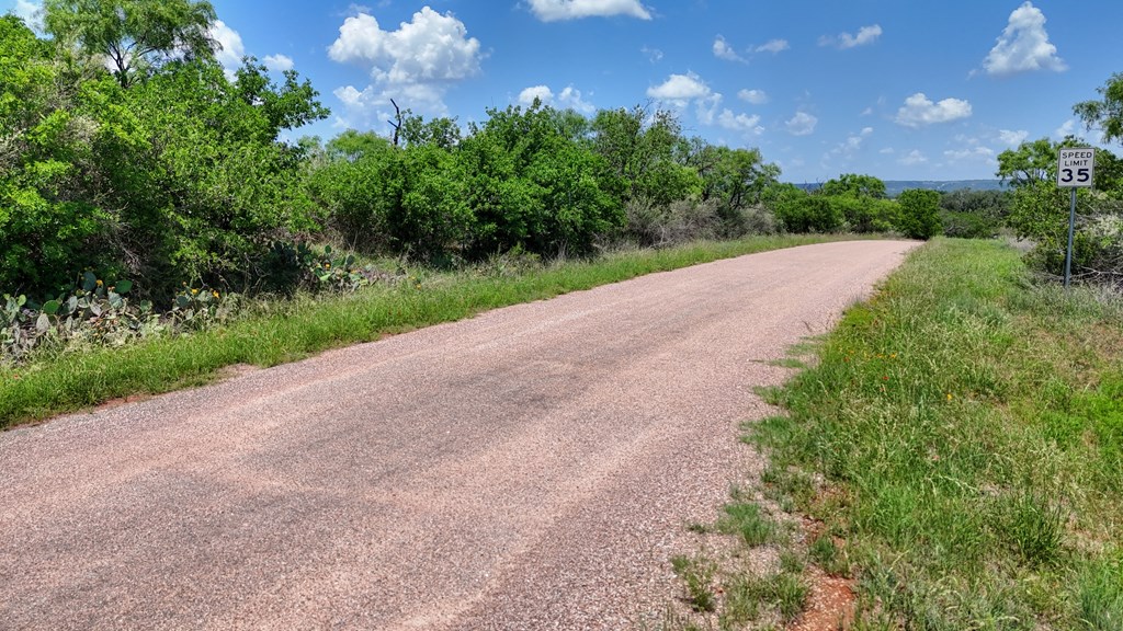 0 West W Highway Valley Spring, TX 76885 - Photo 8 of 27 a view of a garden with a building in the background
