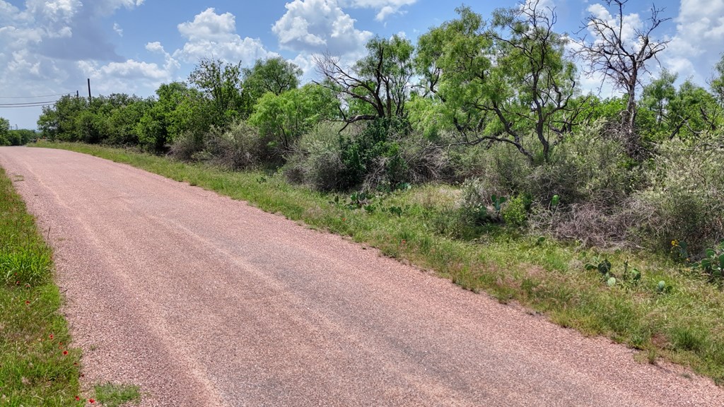 0 West W Highway Valley Spring, TX 76885 - Photo 9 of 27 a view of a road from a yard