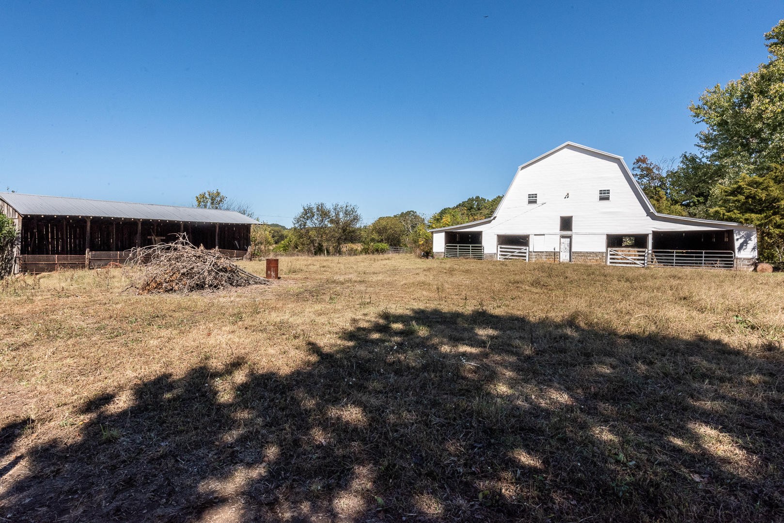4333 Morganton Road Maryville, TN 37801 - Photo 29 of 40 a view of a dry yard with a large tree
