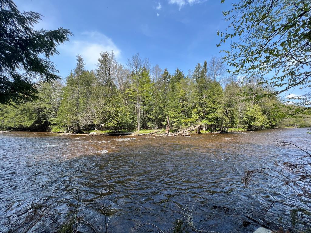 356 Healy Road Chateaugay, NY 12920 - Photo 53 of 55 Gallery Image 53