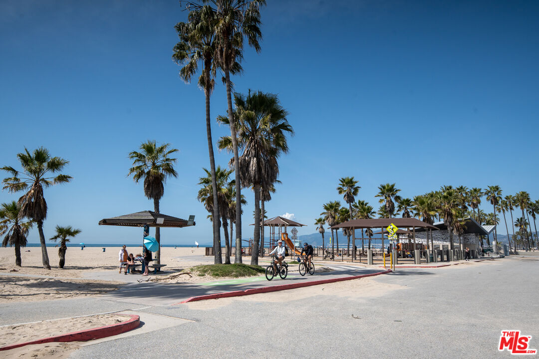 255 Main Street, Unit 101 Venice, CA 90291 - Photo 21 of 28 a row of palm trees and a couple of palm trees in front of a house