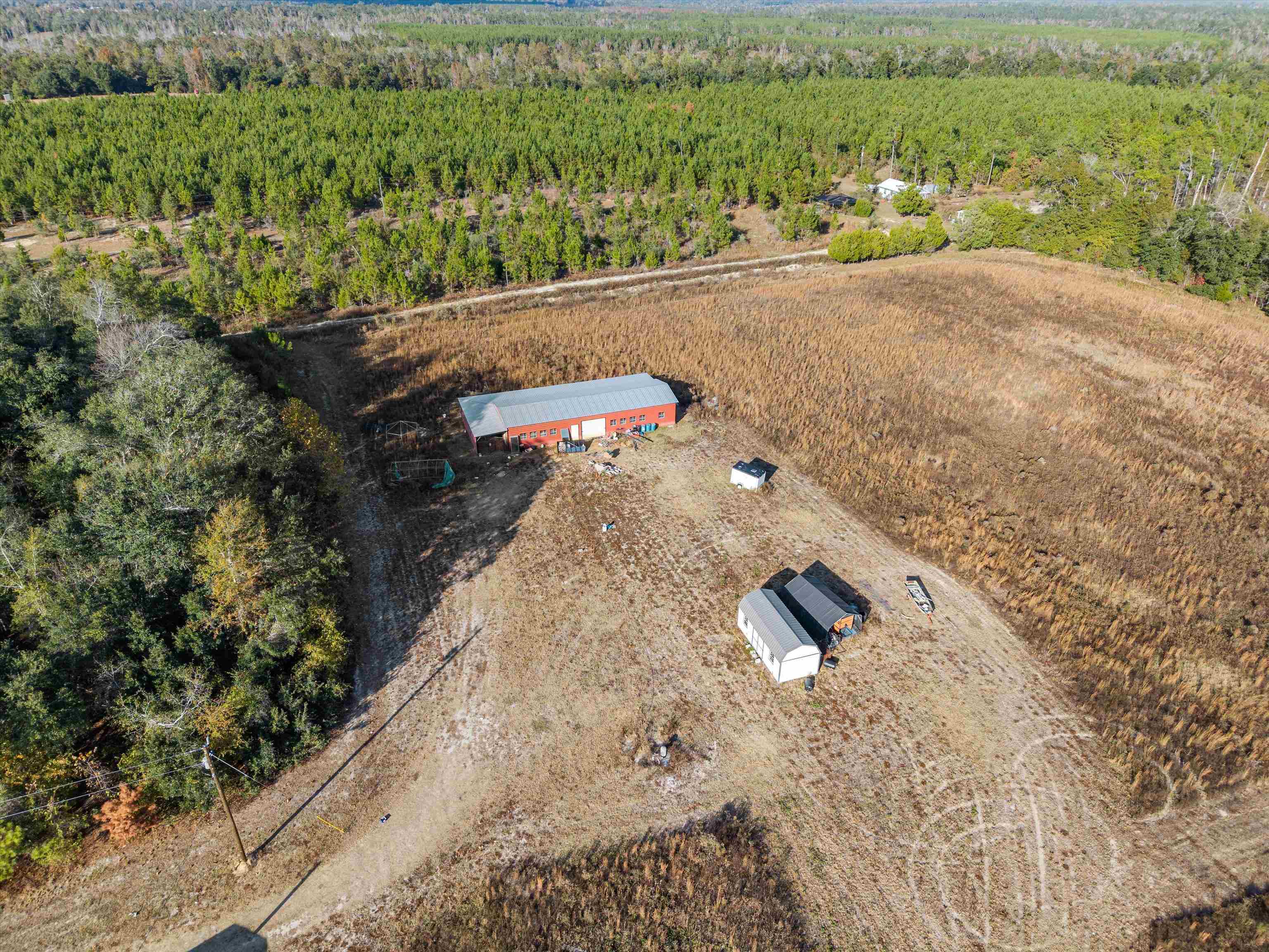 644 Treeline Road Grand Ridge, FL 32442 - Photo 14 of 46