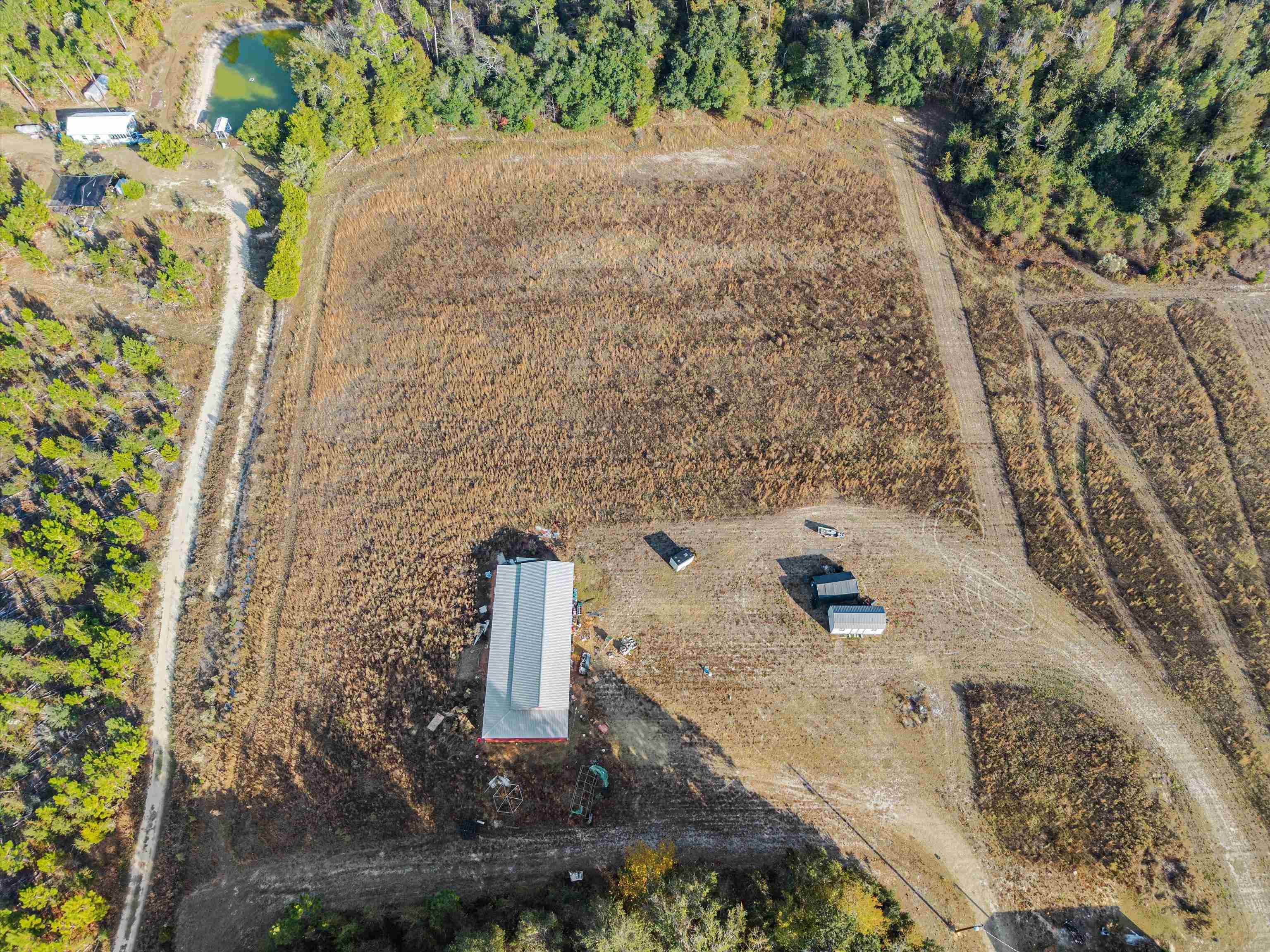 644 Treeline Road Grand Ridge, FL 32442 - Photo 17 of 46