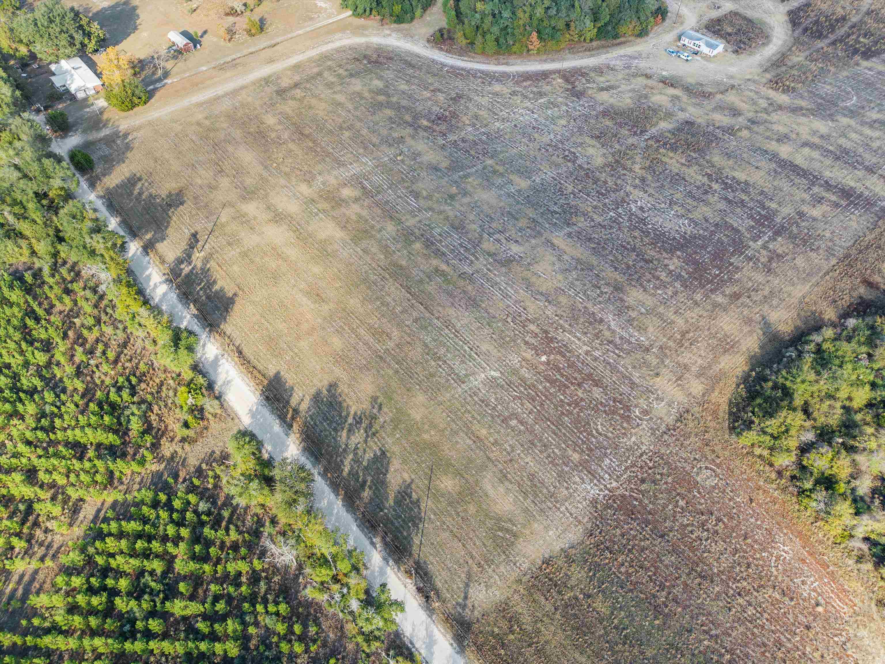 644 Treeline Road Grand Ridge, FL 32442 - Photo 7 of 46