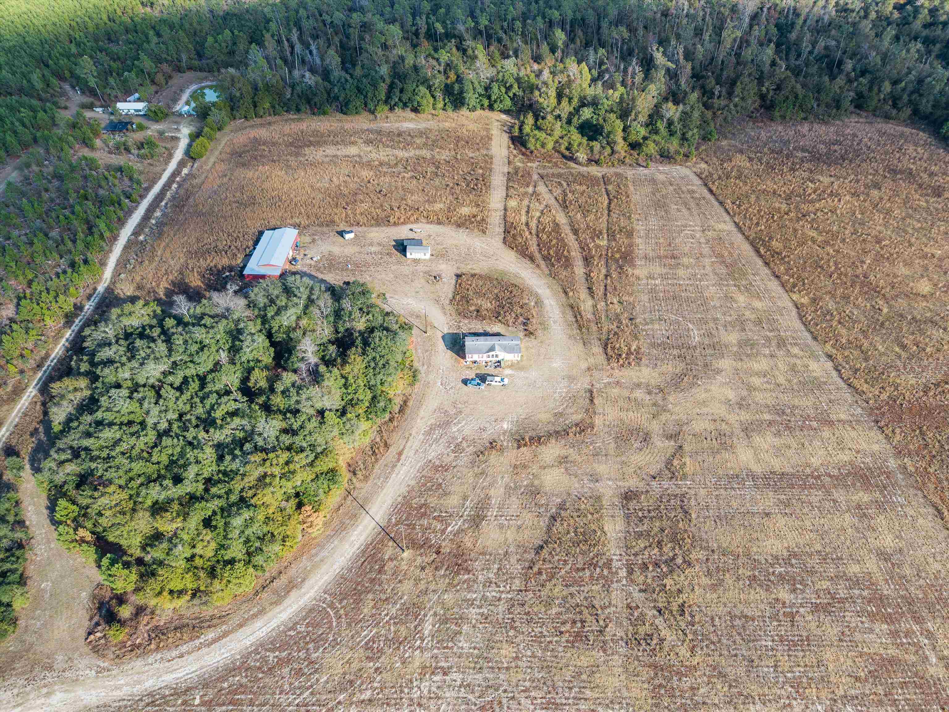 644 Treeline Road Grand Ridge, FL 32442 - Photo 9 of 46