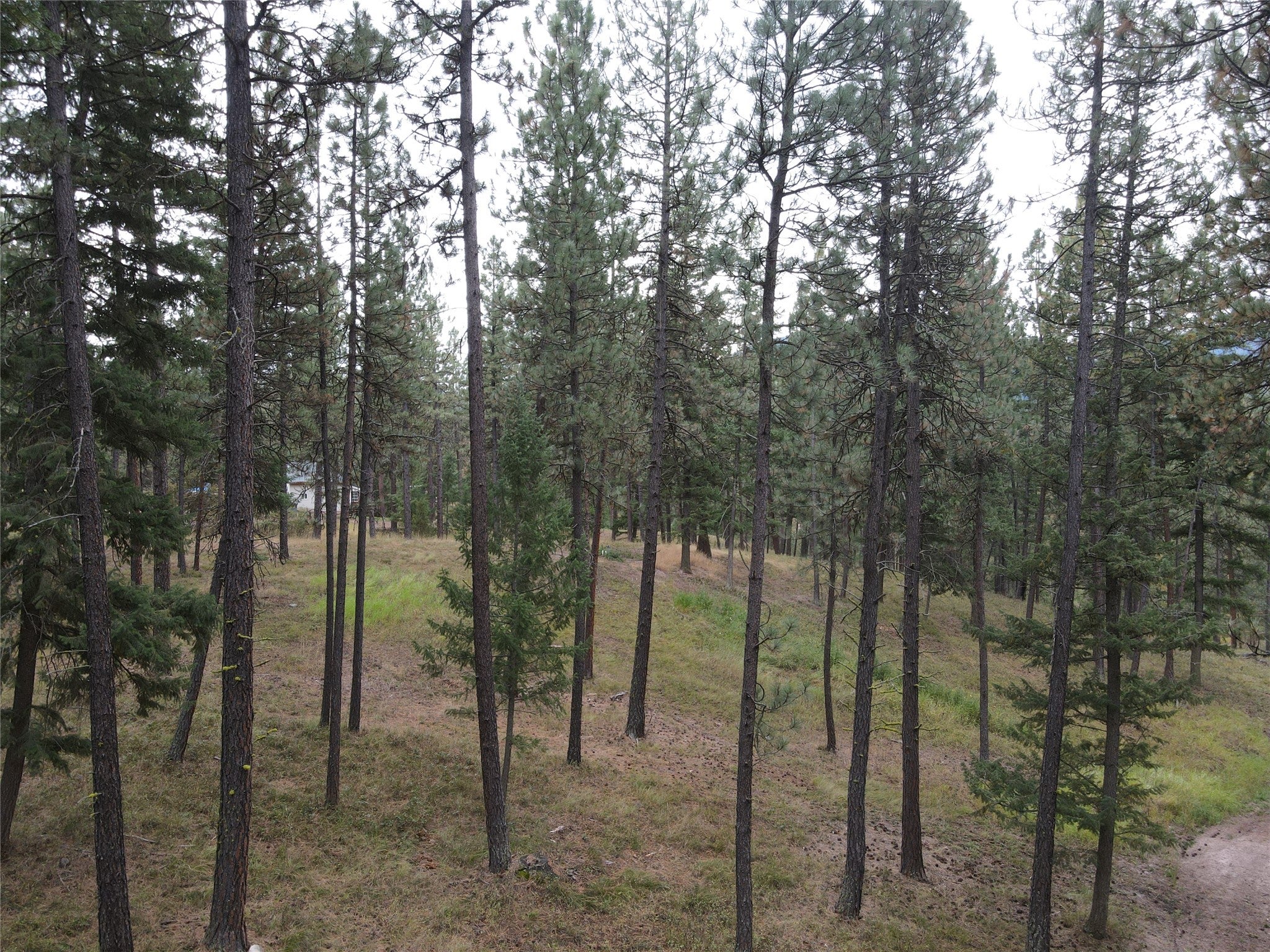 21481 9 Mile Road Huson, MT 59846 - Photo 23 of 43 Gallery Image 23