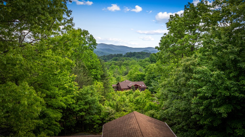 28 Hawkeye Ridge Blue Ridge, GA 30513 - Photo 35 of 104 Gallery Image 35