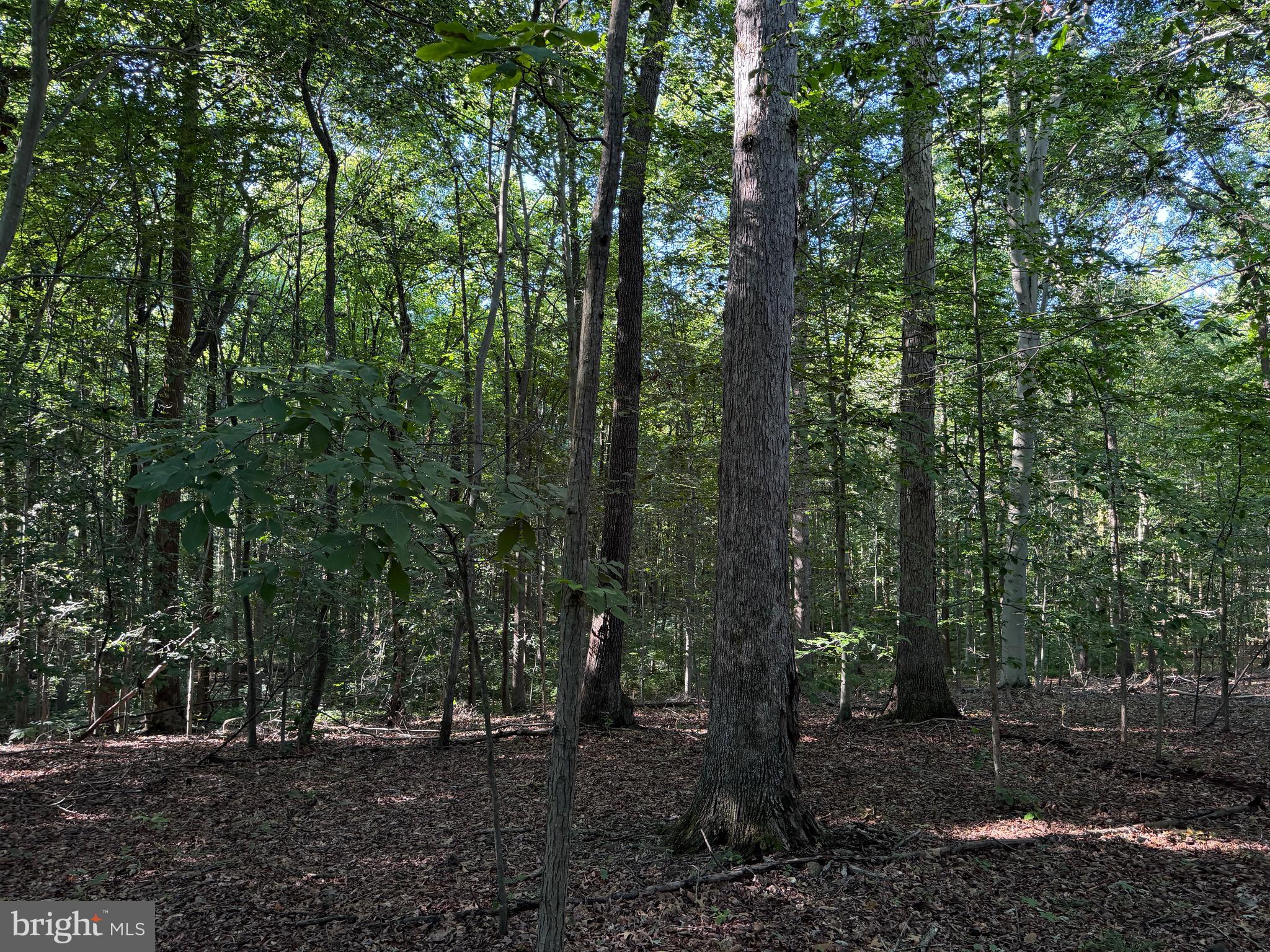0 Rock Springs Road Conowingo, MD 21918 - Photo 69 of 79